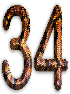 EURUSD SIGNAL ROOT 2026.02.23