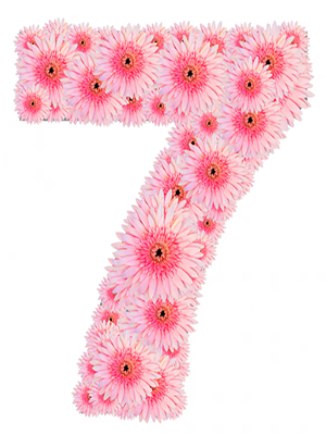 EURUSD SIGNAL ROOT 2026.04.01